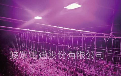 D'diosas LED植物成長照明燈具幫您擺脫氣候變遷陰霾 讓您的種植技術創造更大的獲利